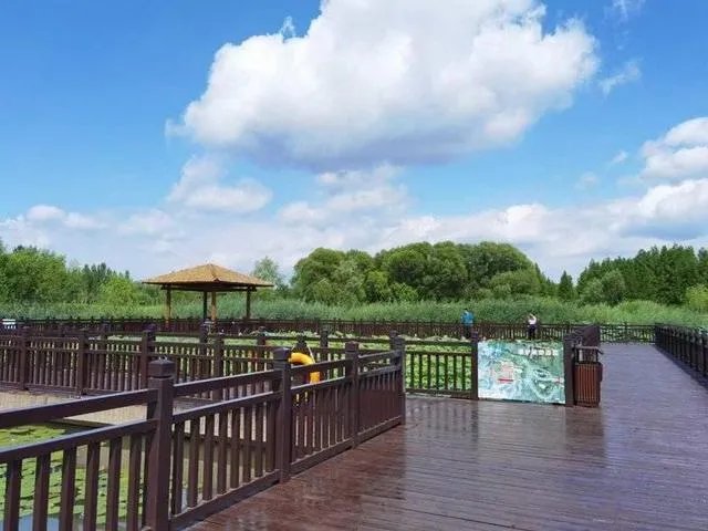 济西湿地公园2022年开放时间？