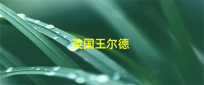 英国王尔德