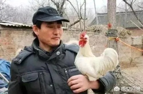 朱之文是歌手,是明星吗,是艺术家吗?你怎么看?