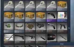 csgo注册完美通行证手机号已被使用
