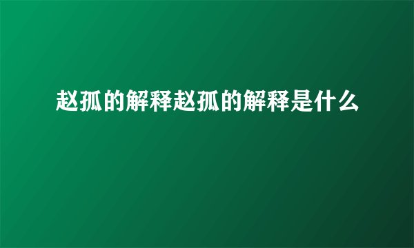 赵孤的解释赵孤的解释是什么
