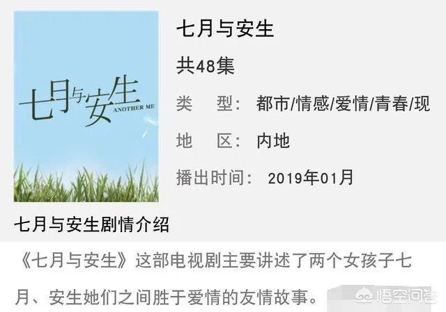 2019年即将播出的电视剧有哪些?