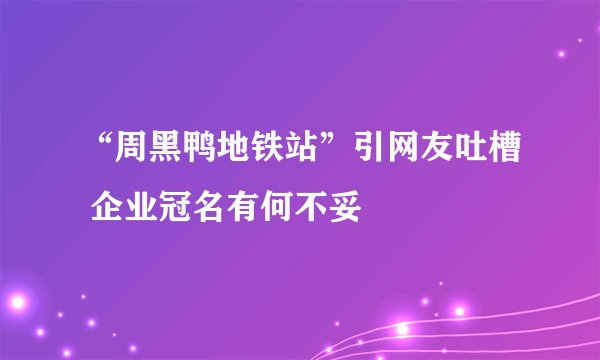 “周黑鸭地铁站”引网友吐槽 企业冠名有何不妥