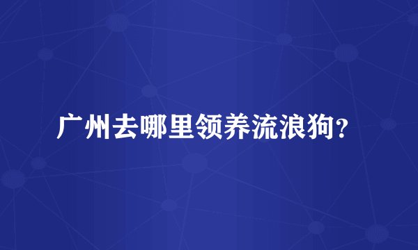 广州去哪里领养流浪狗?