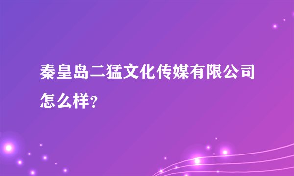 秦皇岛二猛文化传媒有限公司怎么样?