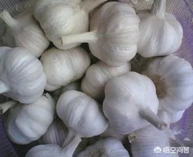 2019年会不会重现当年的“蒜你狠”?