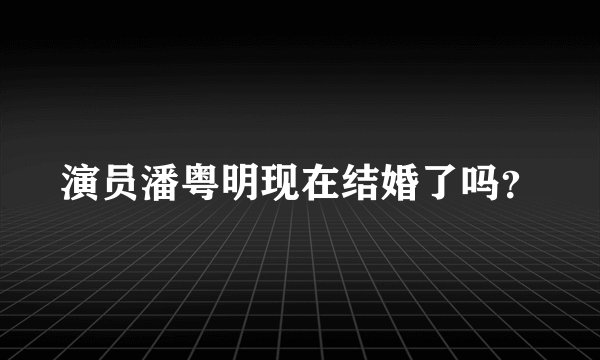 演员潘粤明现在结婚了吗?