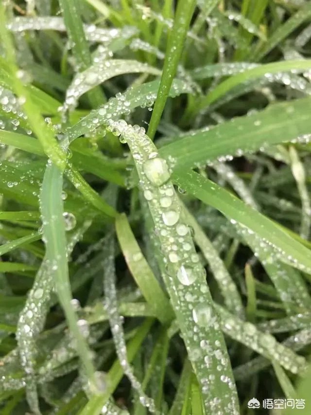 摄影大赛有必要参加吗?