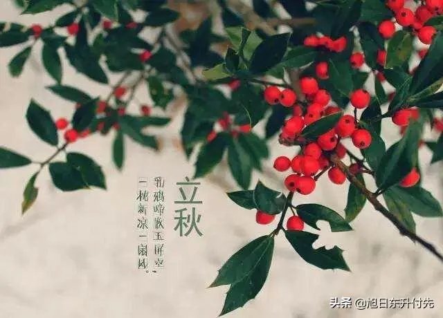 农村立秋当天忌讳