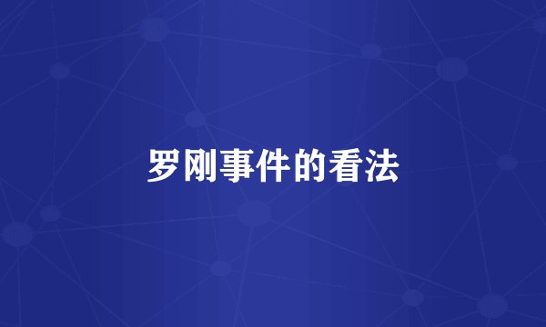 罗刚事件的看法