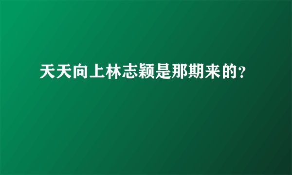天天向上林志颖是那期来的？