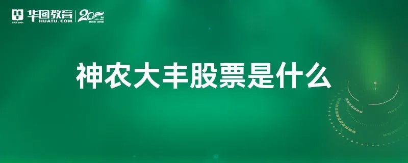 神农大丰股票是什么