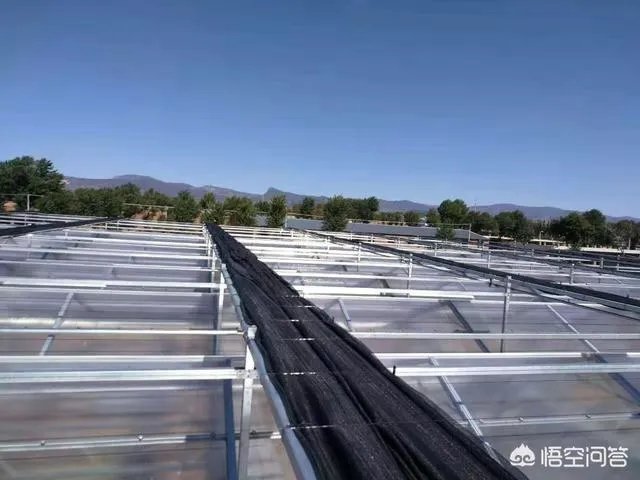 大棚降温剂往遮阳网上喷洒效果好吗?
