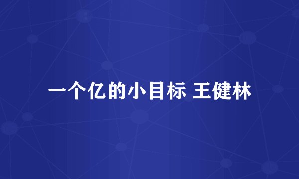一个亿的小目标 王健林