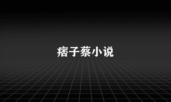 痞子蔡小说