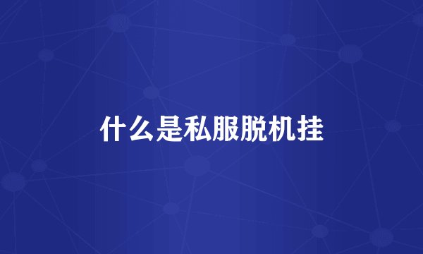 什么是私服脱机挂