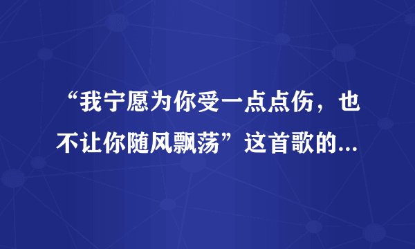 “我宁愿为你受一点点伤，也不让你随风飘荡”这首歌的歌名是什么？