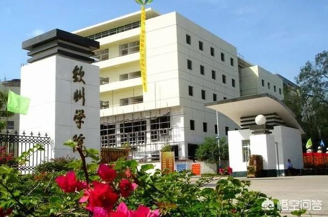 2018年将从学院改名大学的有哪些？