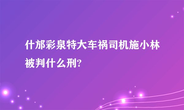 什邡彩泉特大车祸司机施小林被判什么刑?