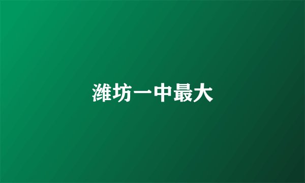 潍坊一中最大