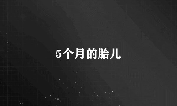 5个月的胎儿
