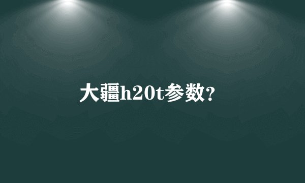 大疆h20t参数？