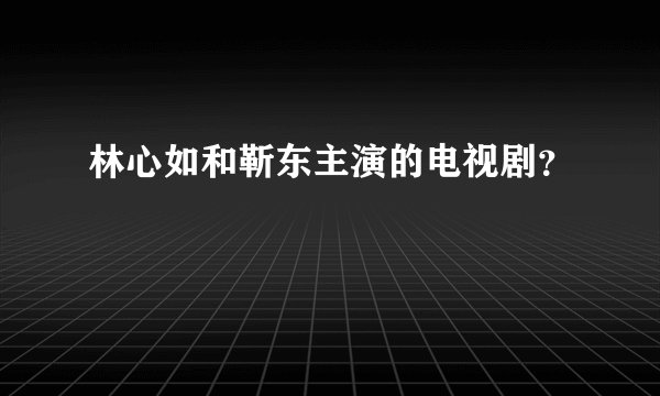林心如和靳东主演的电视剧？