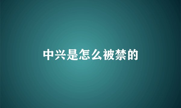 中兴是怎么被禁的