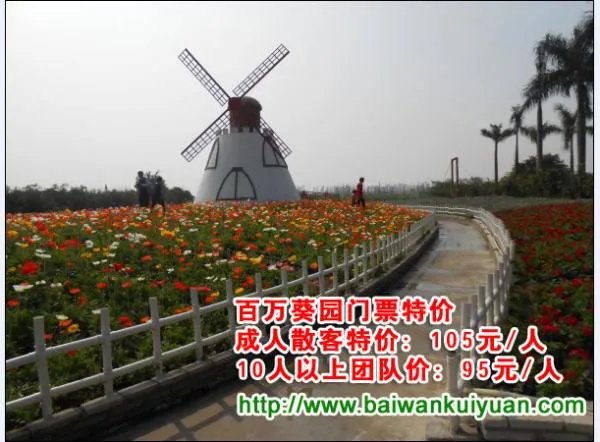 百万葵园什么时候去最好?