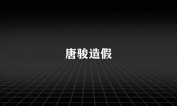 唐骏造假