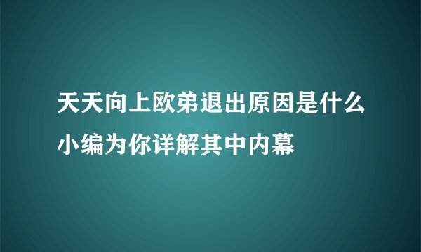 天天向上欧弟退出原因是什么小编为你详解其中内幕