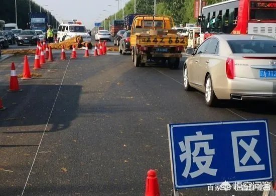 你对非洲猪瘟有哪些了解？人吃了病猪会有什么后果？