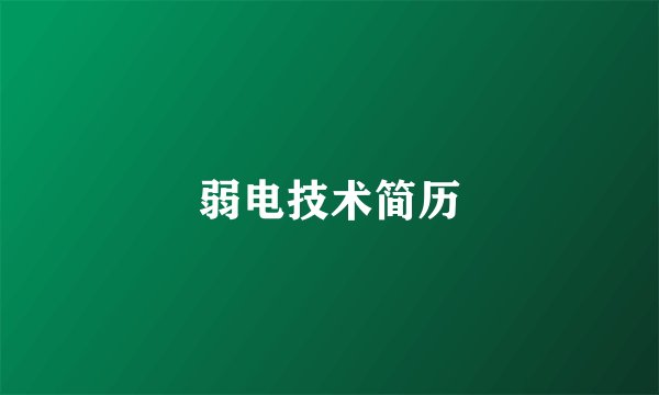 弱电技术简历