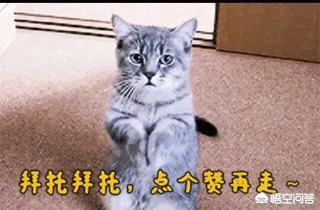 哈登再次拿下三双，火箭的终极目标就是总冠军吗？