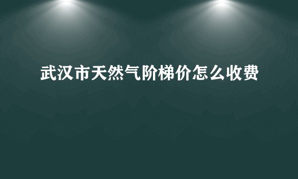 武汉市天然气阶梯价怎么收费