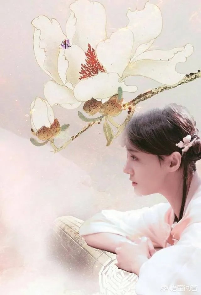 如何看待胡彦斌否认和郑爽复合这件事?