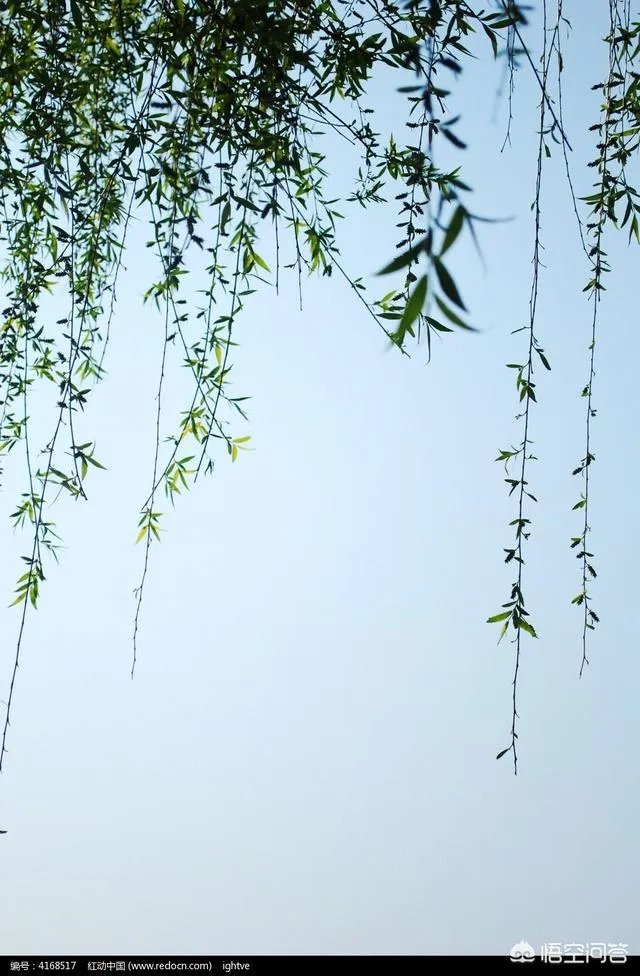 上联是:脸胜芙蓉花解语,如何对下联?
