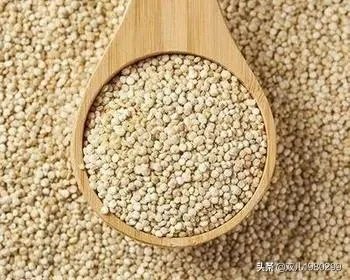 大麦和元麦有什么区别?