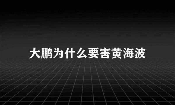 大鹏为什么要害黄海波