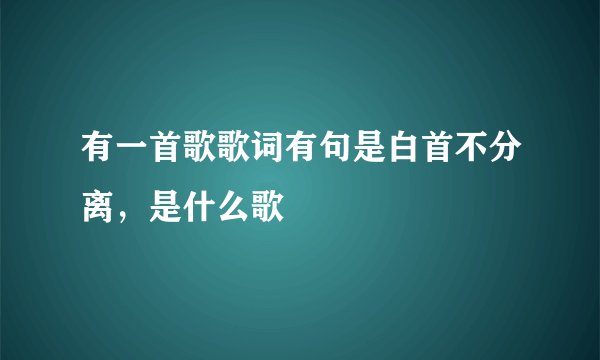 有一首歌歌词有句是白首不分离，是什么歌