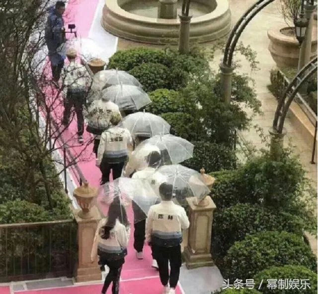 热巴会退出跑男吗?