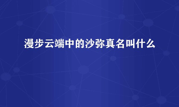 漫步云端中的沙弥真名叫什么