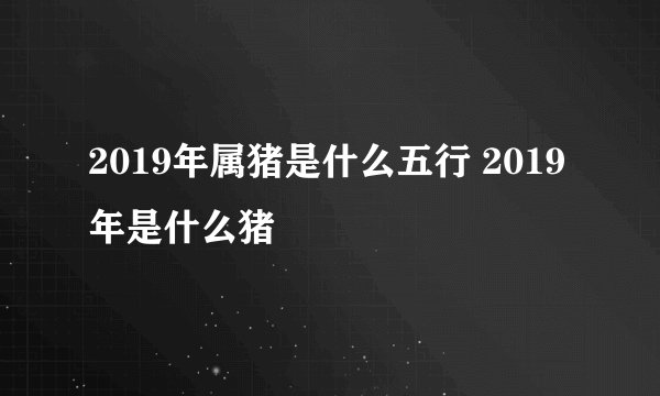 2019年属猪是什么五行 2019年是什么猪