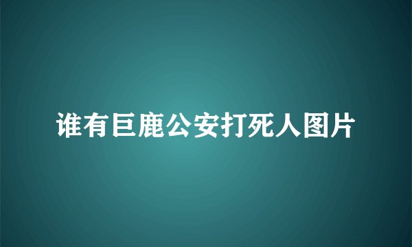谁有巨鹿公安打死人图片