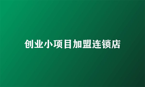 创业小项目加盟连锁店