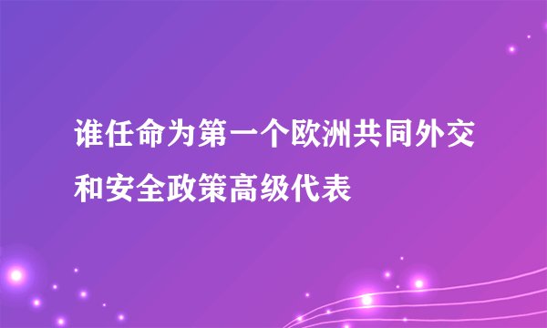 谁任命为第一个欧洲共同外交和安全政策高级代表