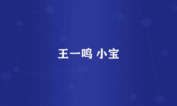 王一鸣 小宝