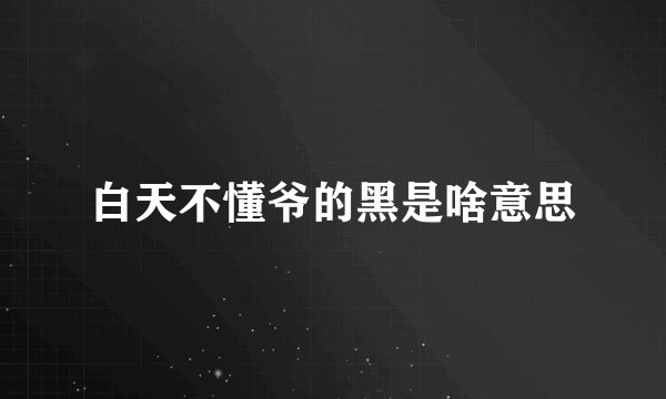 白天不懂爷的黑是啥意思