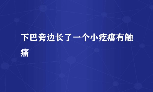 下巴旁边长了一个小疙瘩有触痛