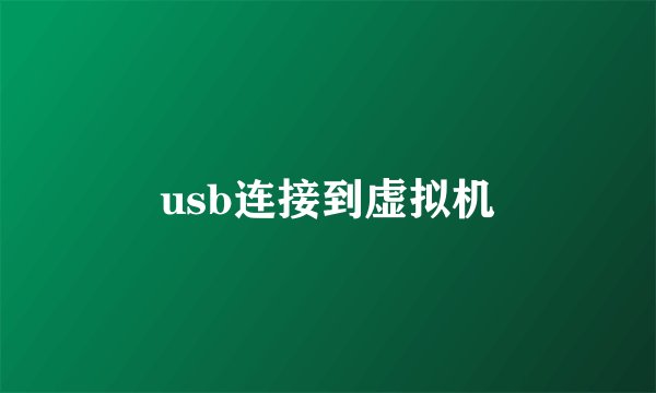 usb连接到虚拟机